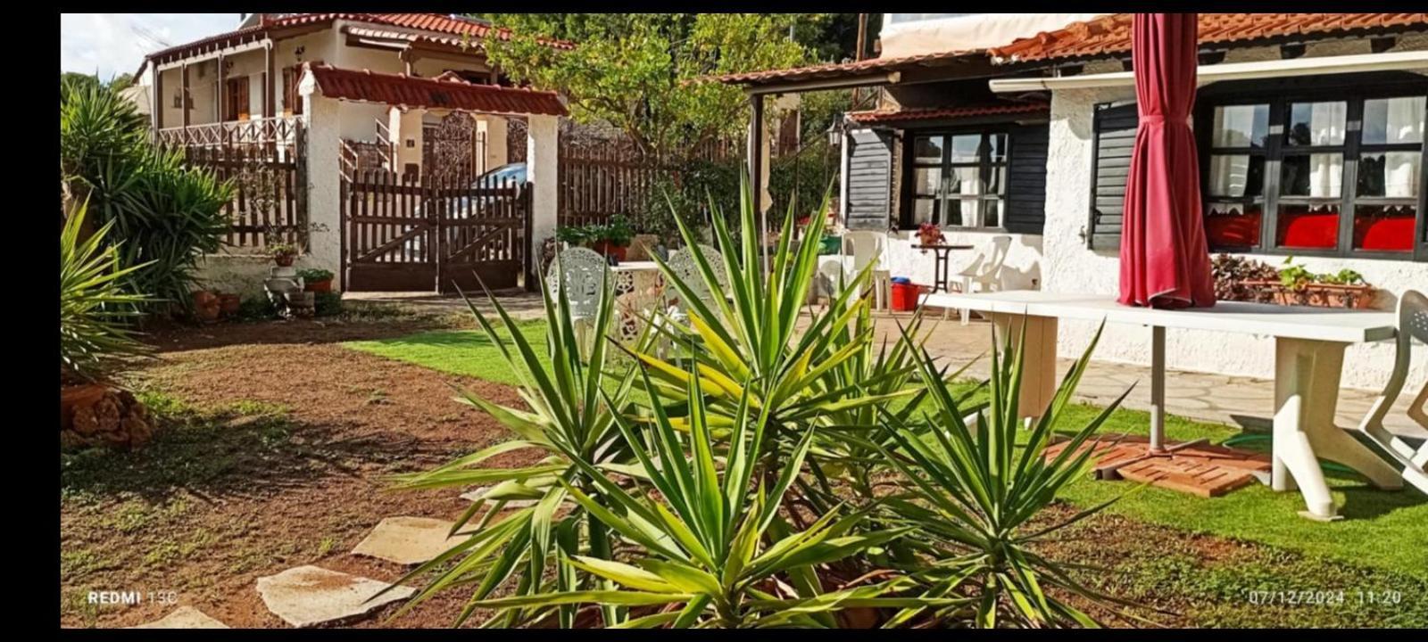 Phedra'S House Spata- Artemida Buitenkant foto